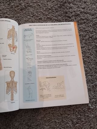 Libro anatomía 