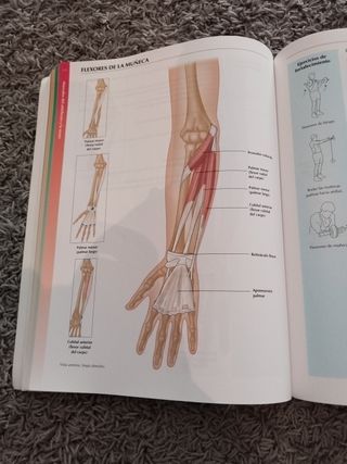 Libro anatomía 