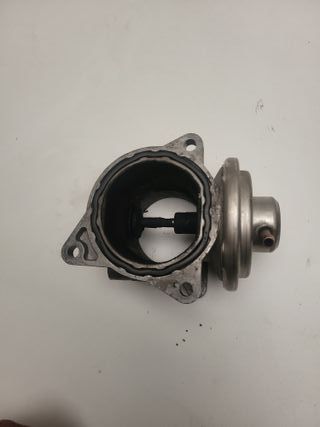 Válvula EGR volkswagen  seat audi 