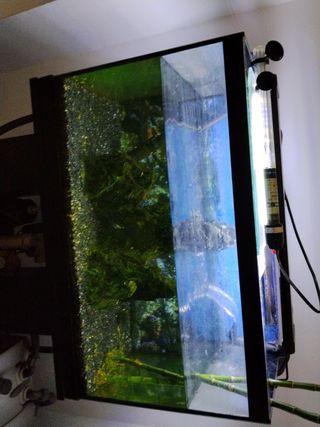 Filtro acuario CristalProfi greenline