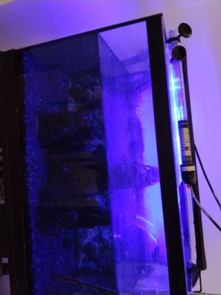 Filtro acuario CristalProfi greenline