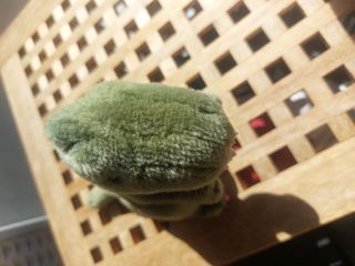 2 peluche dinosauro