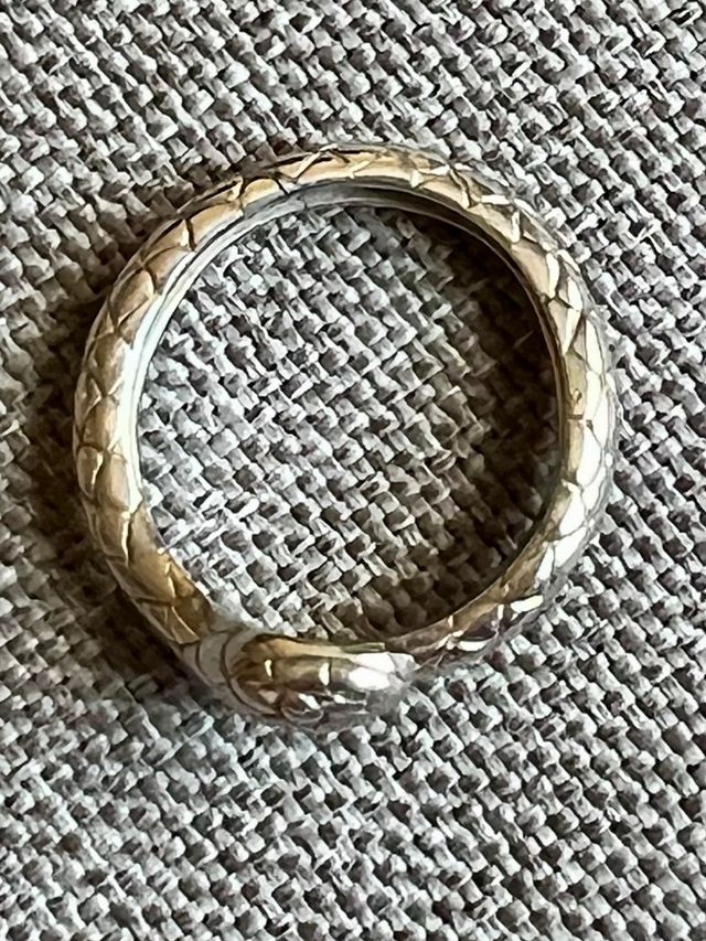 Anillo Serpiente Aristocrazy Plata
