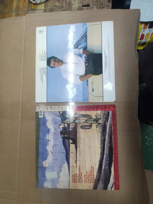 Vinilos Bruce Springsteen - Lucky Town y Tunnel of