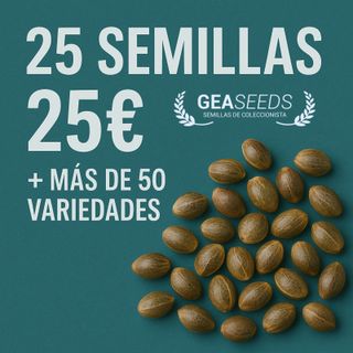 25 Semillas GEASEEDS - 25€ | +50 Variedades