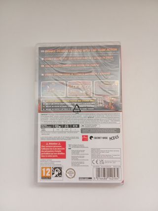 Double Dragon Gaiden Switch