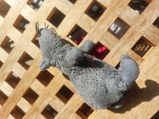 10 peluche misti