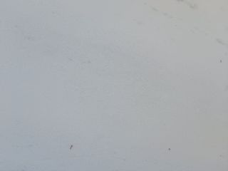 Mármol Blanco Ibiza Alta Calidad