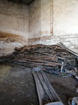 Leña de regalo, única condición recogida