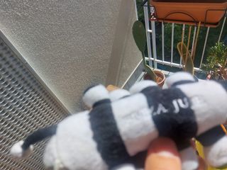 Peluche Bruco Forza Juve