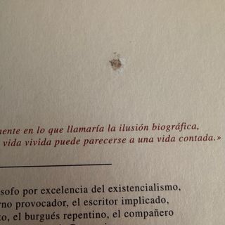 Sartre una existencia, algunas libertades