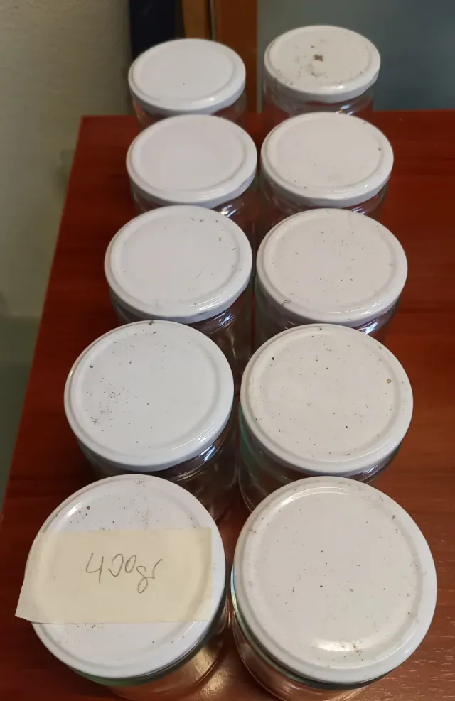 10 Tarros de cristal con tapa 400 gr