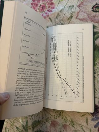 Libro Italia 2045 transizione demografica Brambill