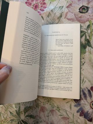 Libro Italia 2045 transizione demografica Brambill