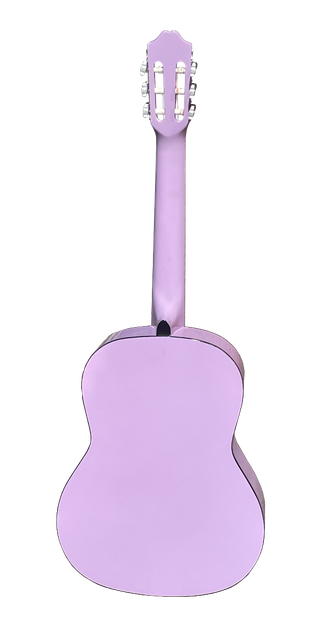 Guitarra Clásica Rocio 10 Rosa
