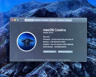 Apple Mac Mini Plata y iphone impolutos lote
