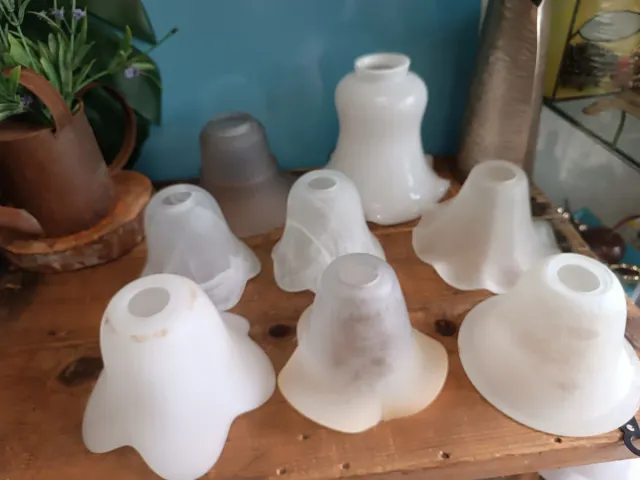 Tulipas de cristal antiguas (Set de 8)