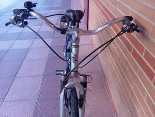 Bici Zeus Aluminio Talla M