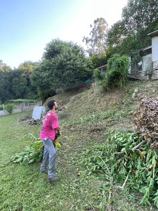 Desbroce de fincas y montes