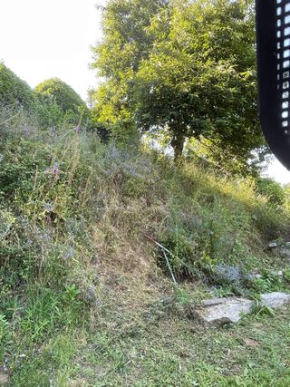 Desbroce de fincas y montes