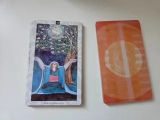Osho Juego de la Transformación