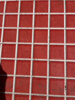 Baldosas/azulejos ROCA para pared