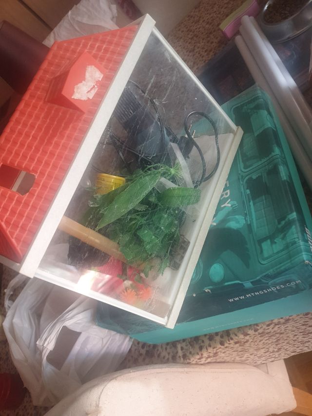 Acuario pequeño con accesorios