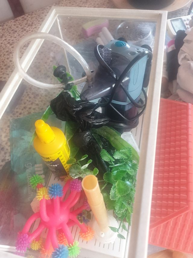 Acuario pequeño con accesorios