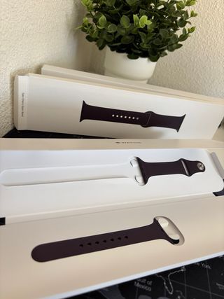 Apple Watch Series 7 45 mm negro + correa premium