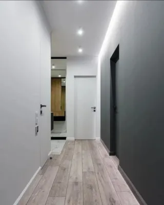 Pintor profesional autónomo 
