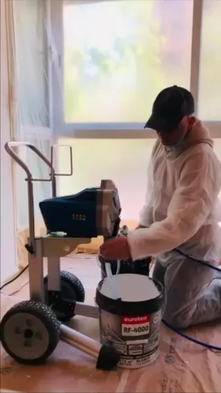 Pintor profesional autónomo 