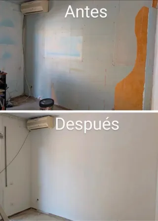 Pintor profesional autónomo 