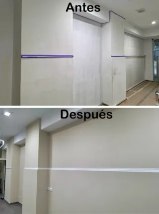 Pintor profesional autónomo 