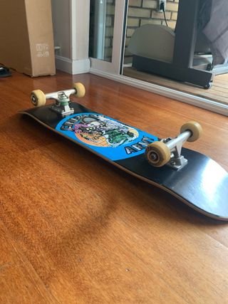 Skate en buen estado