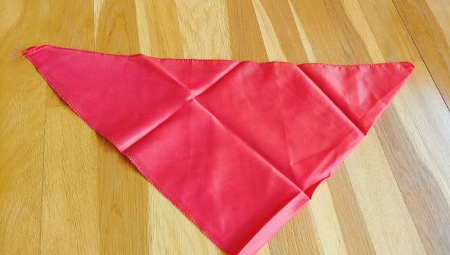 Disfraz Pastora 3-4 años