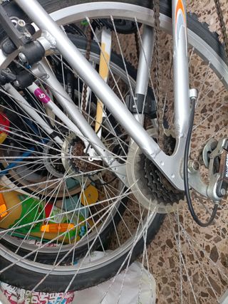Bicicleta Montaña MTB
