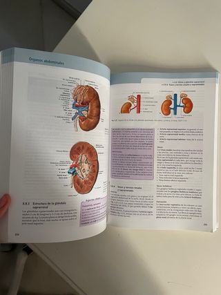 Sobotta. Texto de anatomía