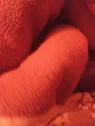 Abrigo acolchado niña rosa