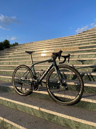 GIANT TCR 2025