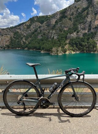 GIANT TCR 2025