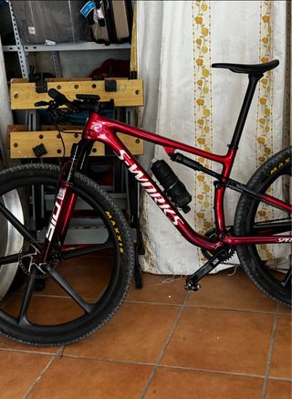 Cuadro y horquilla S-Works Epic Brain