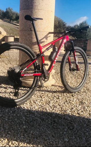 Cuadro y horquilla S-Works Epic Brain