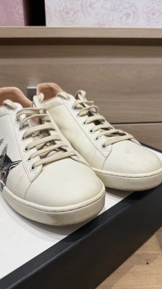 Zapatillas Gucci Edición Limitada Gatos