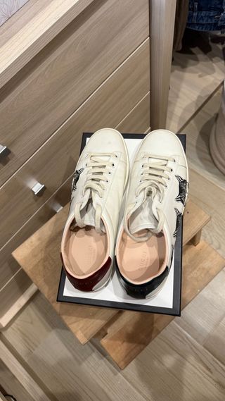 Zapatillas Gucci Edición Limitada Gatos
