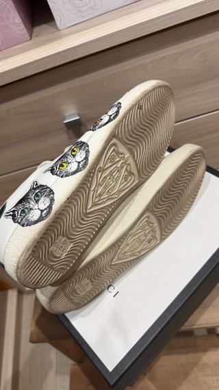 Zapatillas Gucci Edición Limitada Gatos