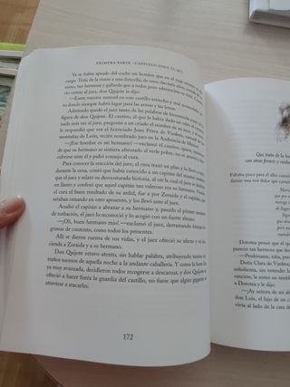 Don Quijote de La Mancha, ESO. Material auxiliar (Adapted Classics) (Spanish Edition)