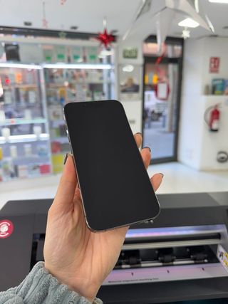 iPhone 13 Pro Max 256GB