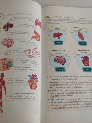Conocimiento del Medio 6ºEP - 9788414322963