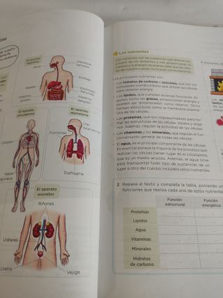 Conocimiento del Medio 6ºEP - 9788414322963