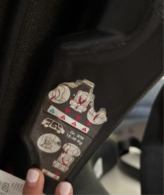 Silla coche niño SCOUTTER FIX